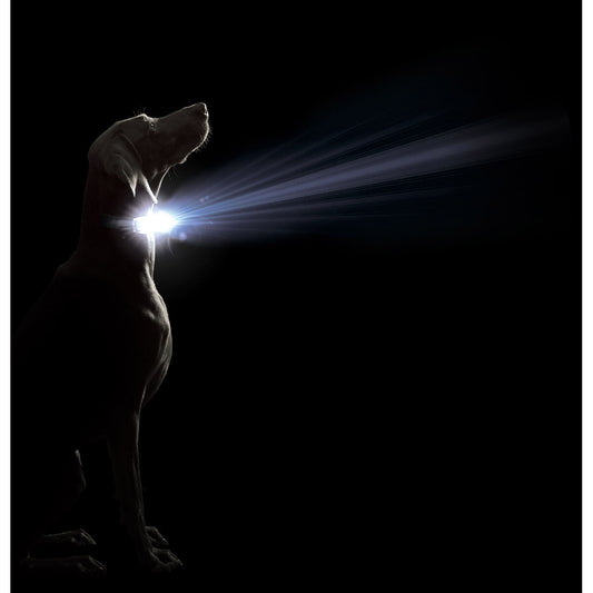 V4HFECEE5D2413F40A4A6092793FB891121R5554887P2