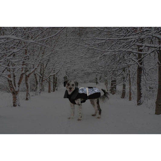 V5H512E60A16CF84D935DFACD5C2A2724A1R5332394P2