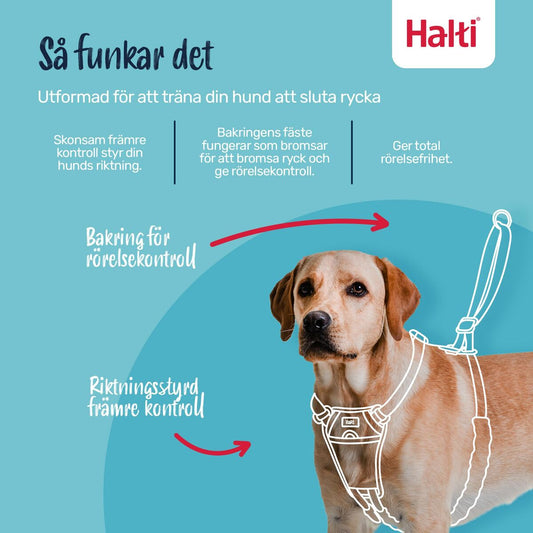 V3H57FA01364555ABF8B8F65B1617561966R7523827P2