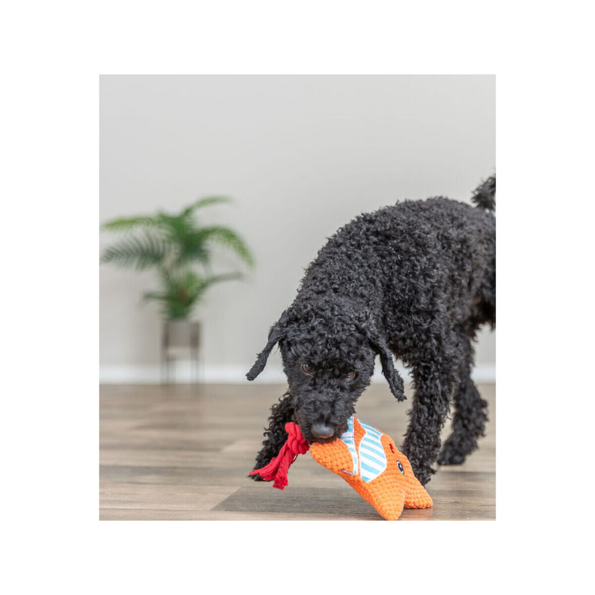 V2H90F33AB1F1A6BF1F03742AF9B7B3D7E5R7811945P3