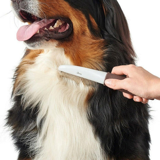 V10H894988CD0BFC3D4771E26819131C23F0R5597839P2