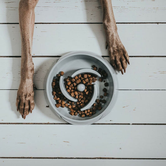 V13H8BB5ADE5524F0CE7D5CAD61468A0A3D1R6574157P2