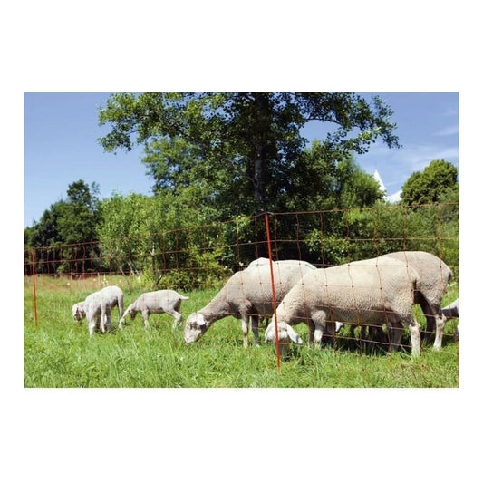 V7H2A33D4FB1A1E736B9DEB94D64210CA08R4132488P2