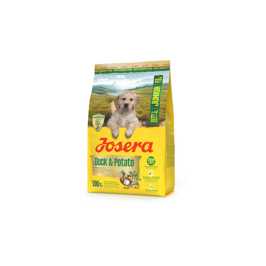 V1HBEF32DD50C7C976A87B5DBD188E6E766RP2