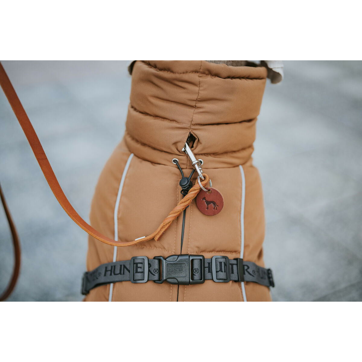 V4H72B2F9DDDD763C6D9807DDDA63270CFBR5575899P7