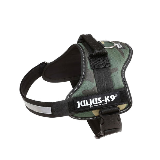 V3HD6FCB2465E5794943D0321EF76F4CDD1R7526453P2