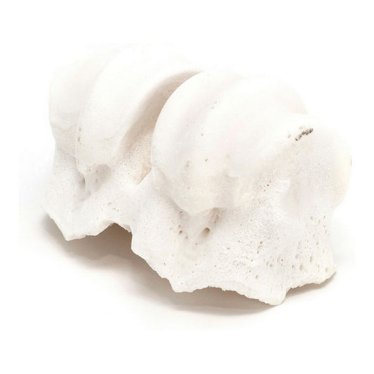 V10HED0B4C38EE8532FA23B93A47B1DCA0BER3891368P2