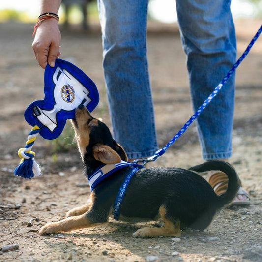 V2H589C8E3775946517A8436751F1E2DB0FR6939174P2