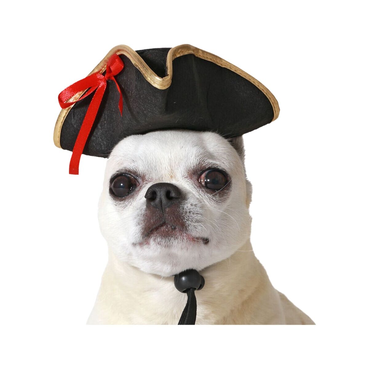 Costumi