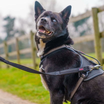 V4H24F9BD465C3B5696D58E920F0E73AB57R7245511P3