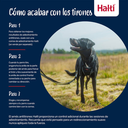V4HD1354AA41A75B2202607B1658A393A86R7523715P4