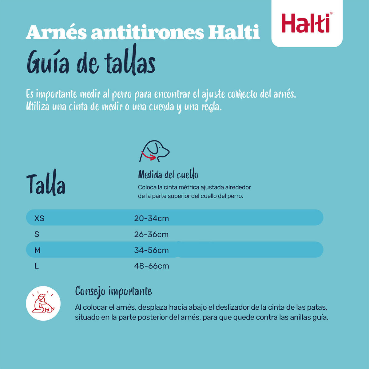 V3H9A31F23676ED77E4186410FC82D147C5R7523529P9