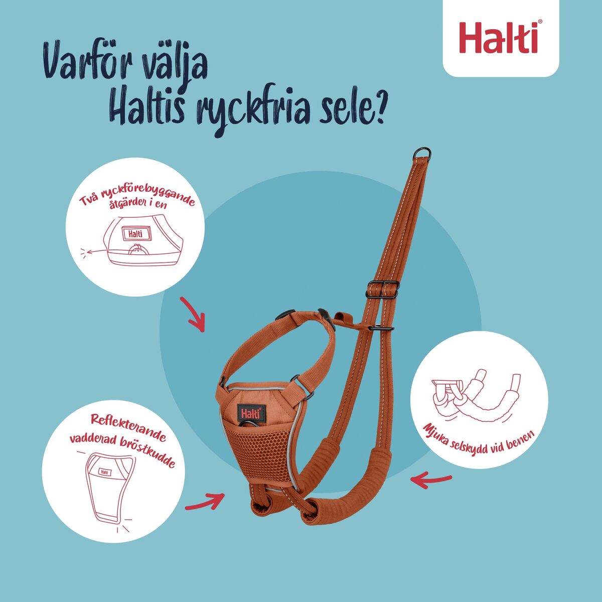 V3H047ED1ADE9B9C99FB065785AAD4A8EB2R7523722P9