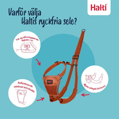 V3H047ED1ADE9B9C99FB065785AAD4A8EB2R7523722P9