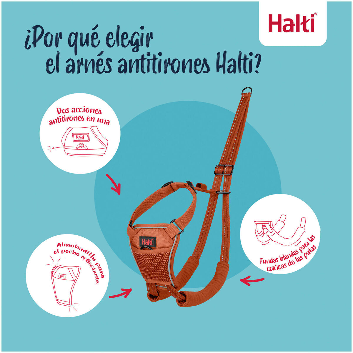 V3H88B488D51657F57F67D32A95383A6A9DR7523701P7