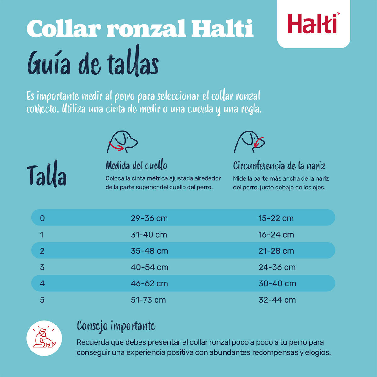 V3H6643B07DA5B750D9C94E5678FCA851DER7523850P2