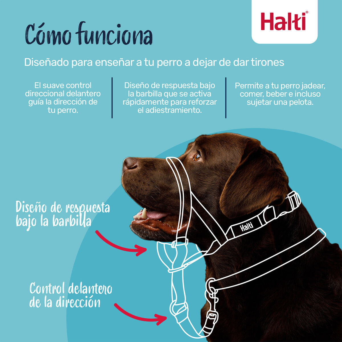 V3H843B20BD004047448A1CA2E0C8E6E9B4R7523883P9