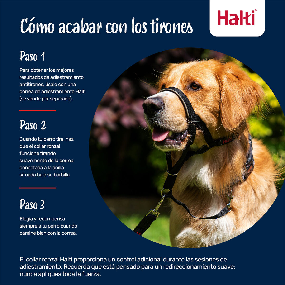 V3HF72E9D4958D2442D21D8F5FAEE77A975R7523844P7