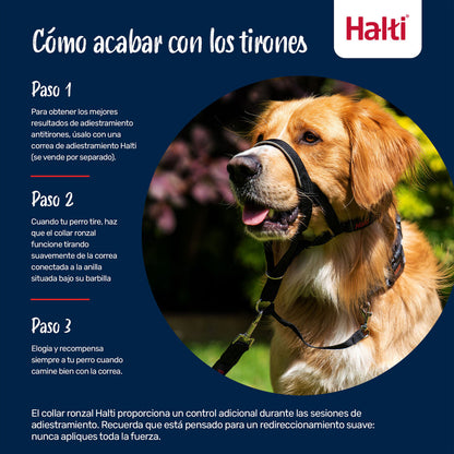 V3HF72E9D4958D2442D21D8F5FAEE77A975R7523844P7