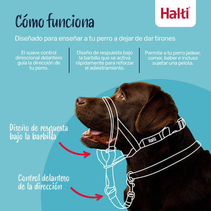 V3HB470F7BC8F74569C645944423496EAF6R7523845P8