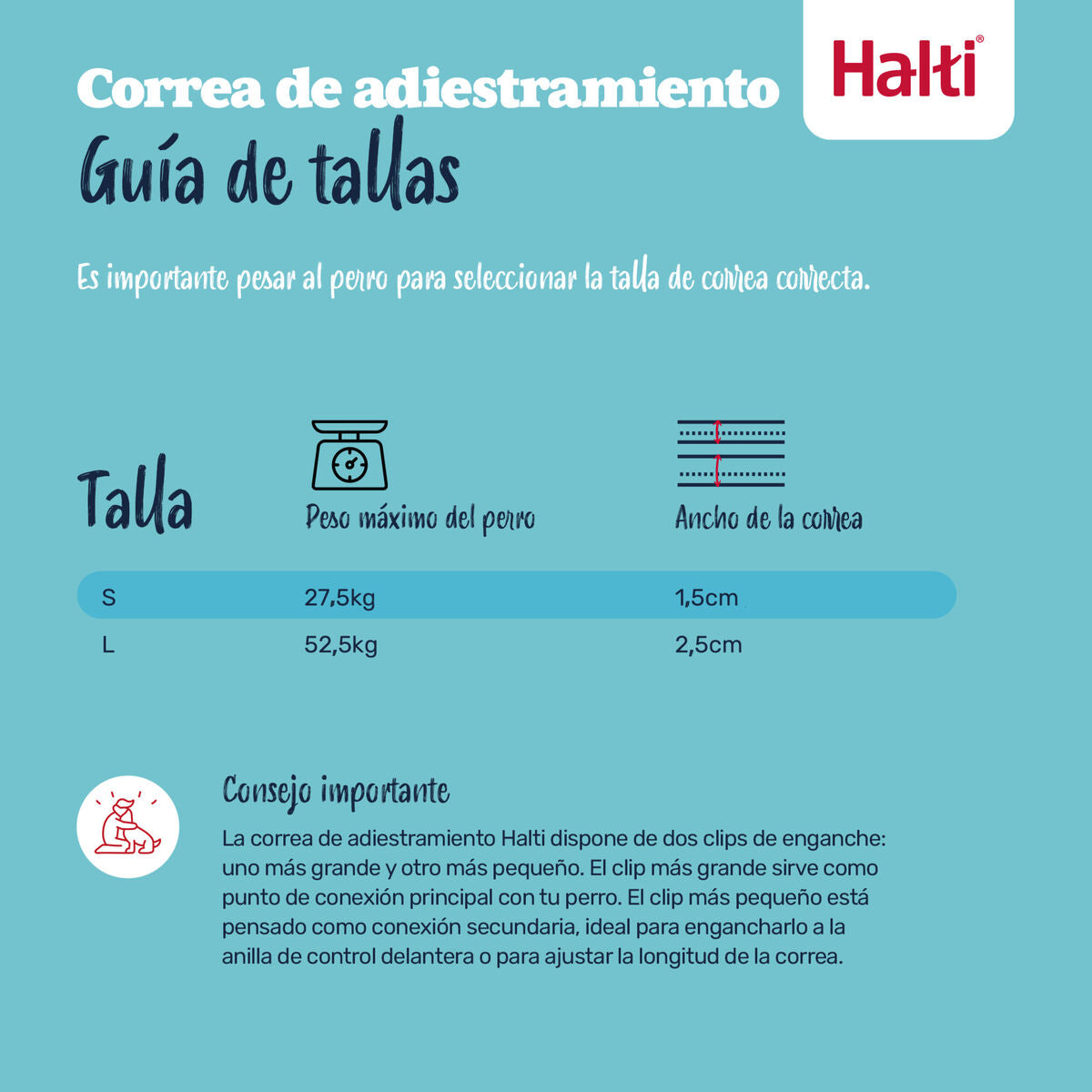 V3H58F77F7E7F04B133724BC8AE75CAE27FR7523268P9