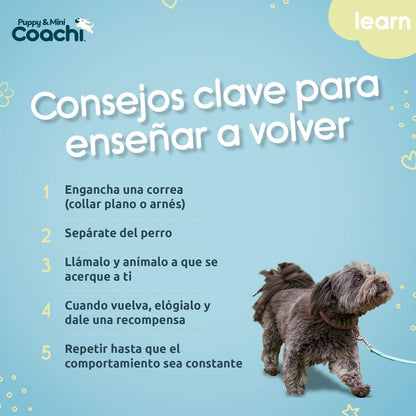 V5H923D757ED6E4725AF4377FF3ED23E690R5717609P5