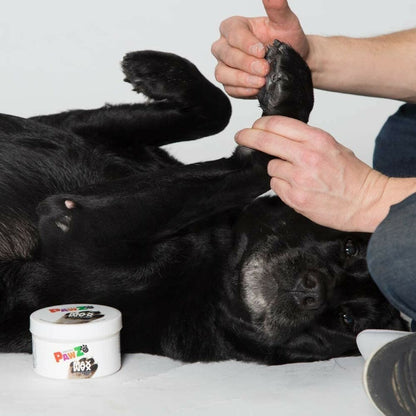 V4HF118DCA89546522789B2CF31AB0A821DR5595054P8