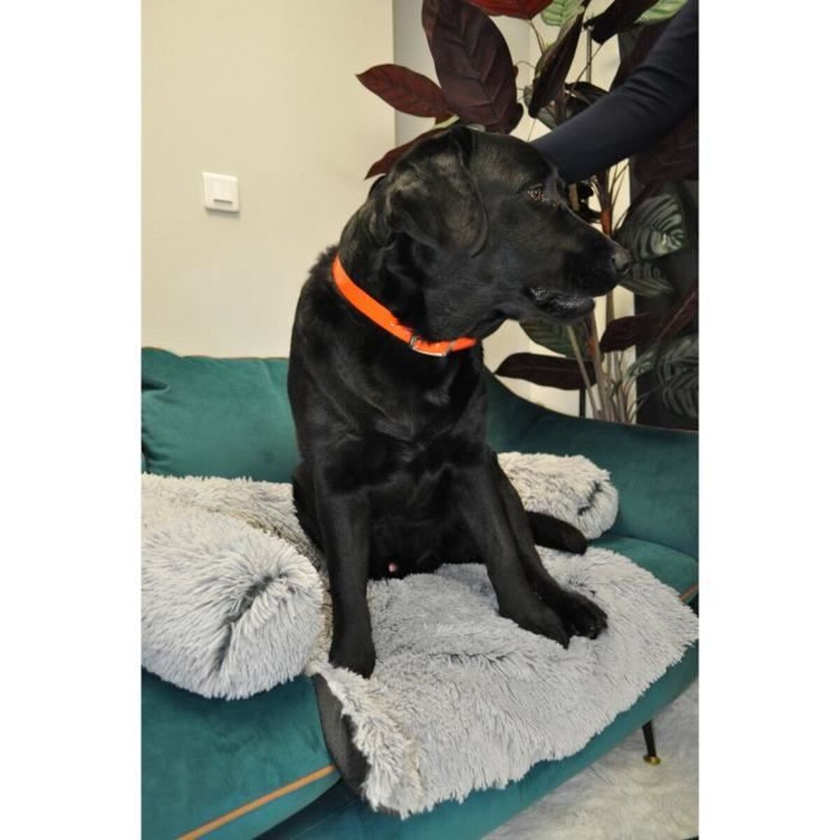 V2H87D4F39A1BB9E5E97870F559A4424FBFR7437049P6