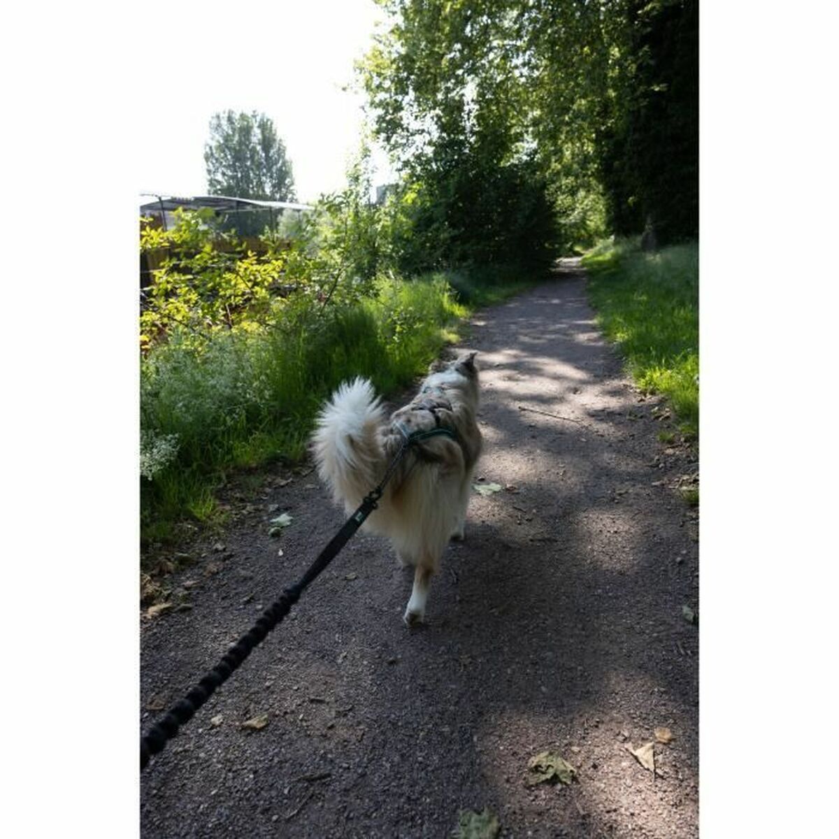 V4HE202529C3A3001DA18B48454FD087EBAR5776740P4