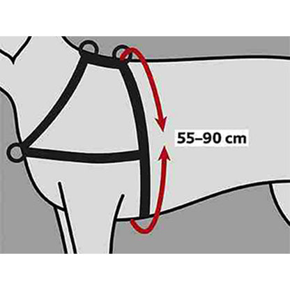 V7H809A46D470985D80A300594FC6EEC9A5R7441882P2