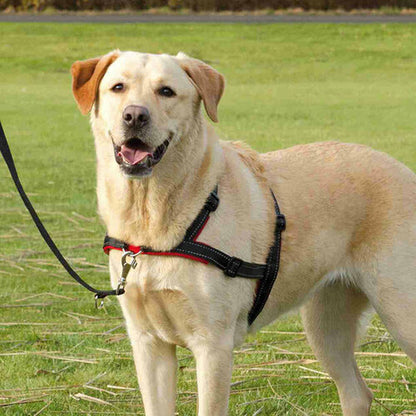 V7H716ABEA5AF4AE14F590340537C4D1615R7441892P8