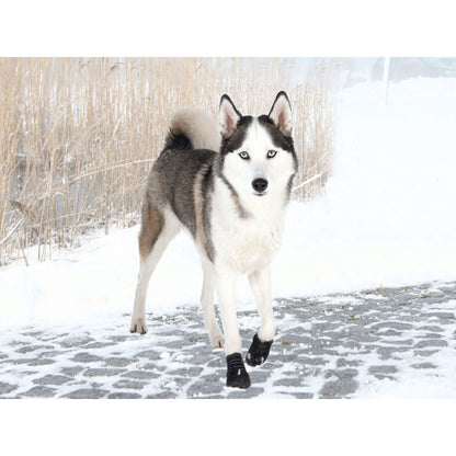 V4HA095589771909CE87CA612543B1123ACR7439897P3