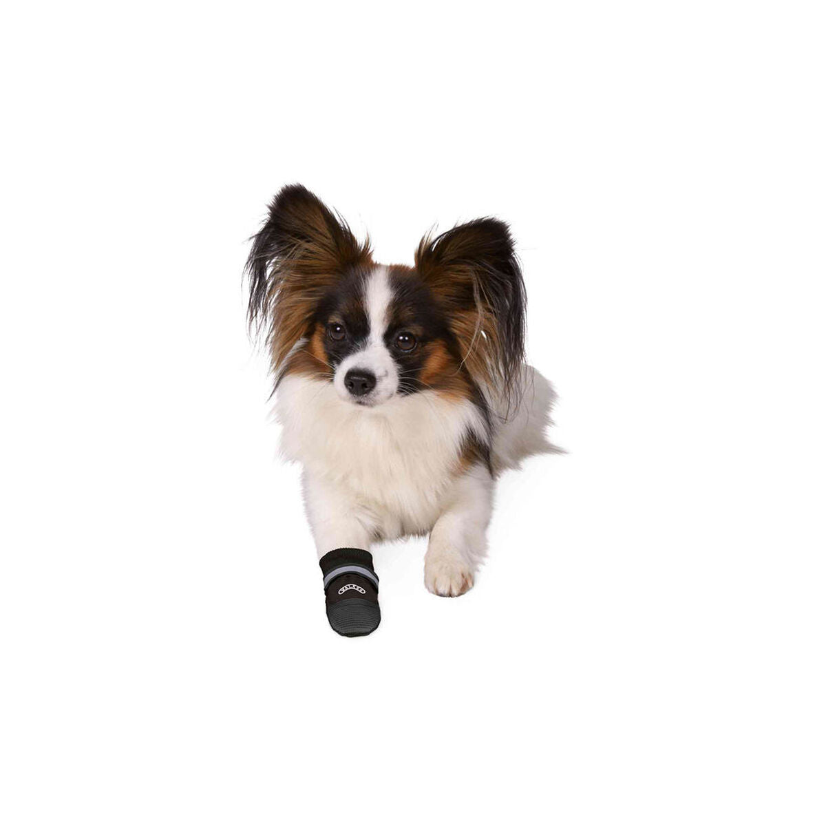 V4H32B442094009951EBE8140DE92E89CB5R7440596P3