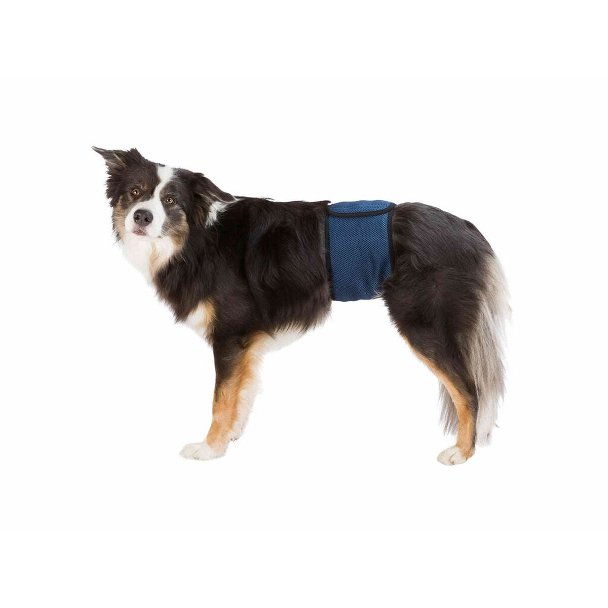 V6HF60D727B9DB340049CE6FF144F496548R7444142P1