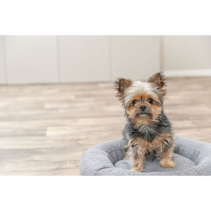 V2HEC7709C8C07B6D06BDAFFB08B5B0BBEER7639884P9