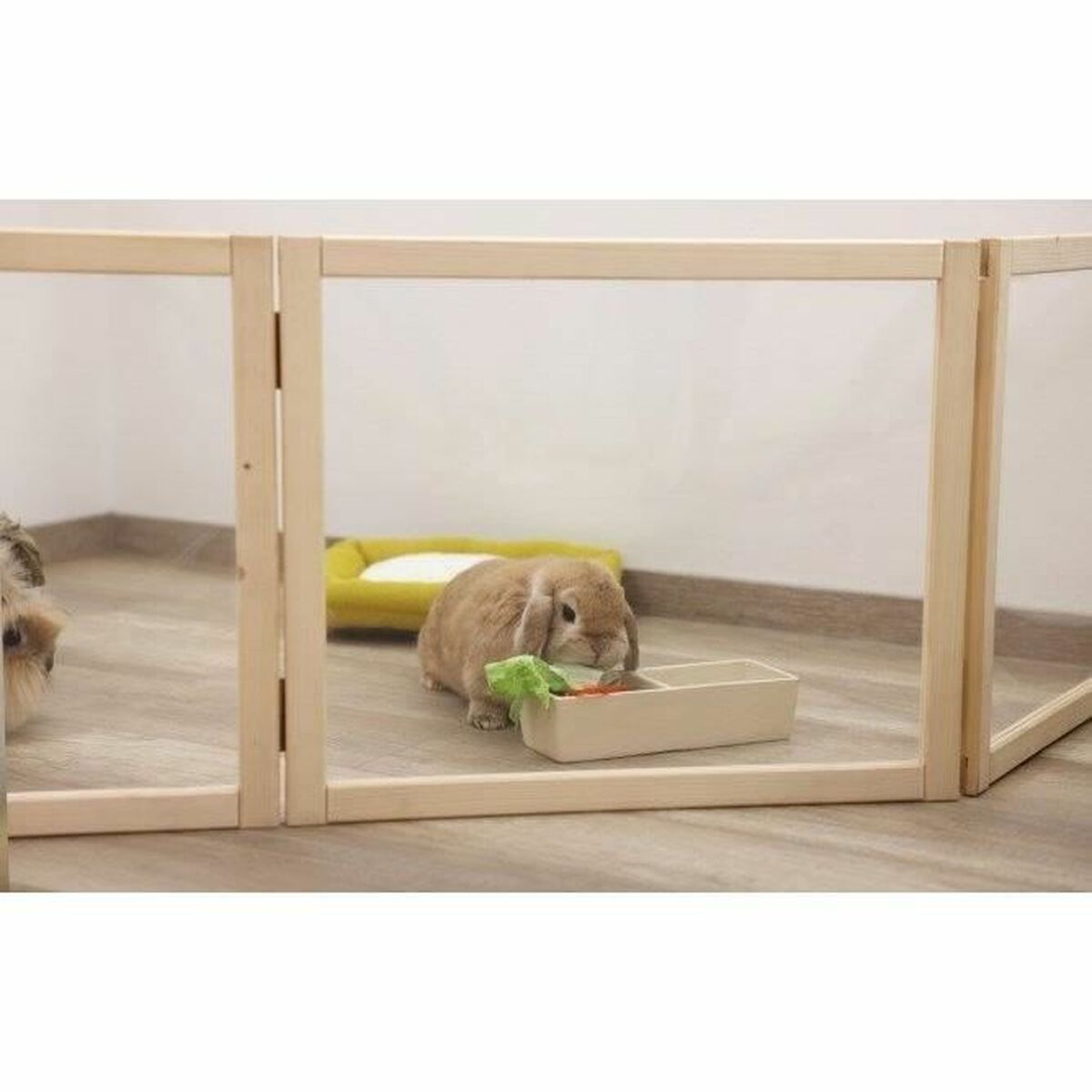 V5HD3905748B6E28B083713C6189CF16DB1R5568351P4