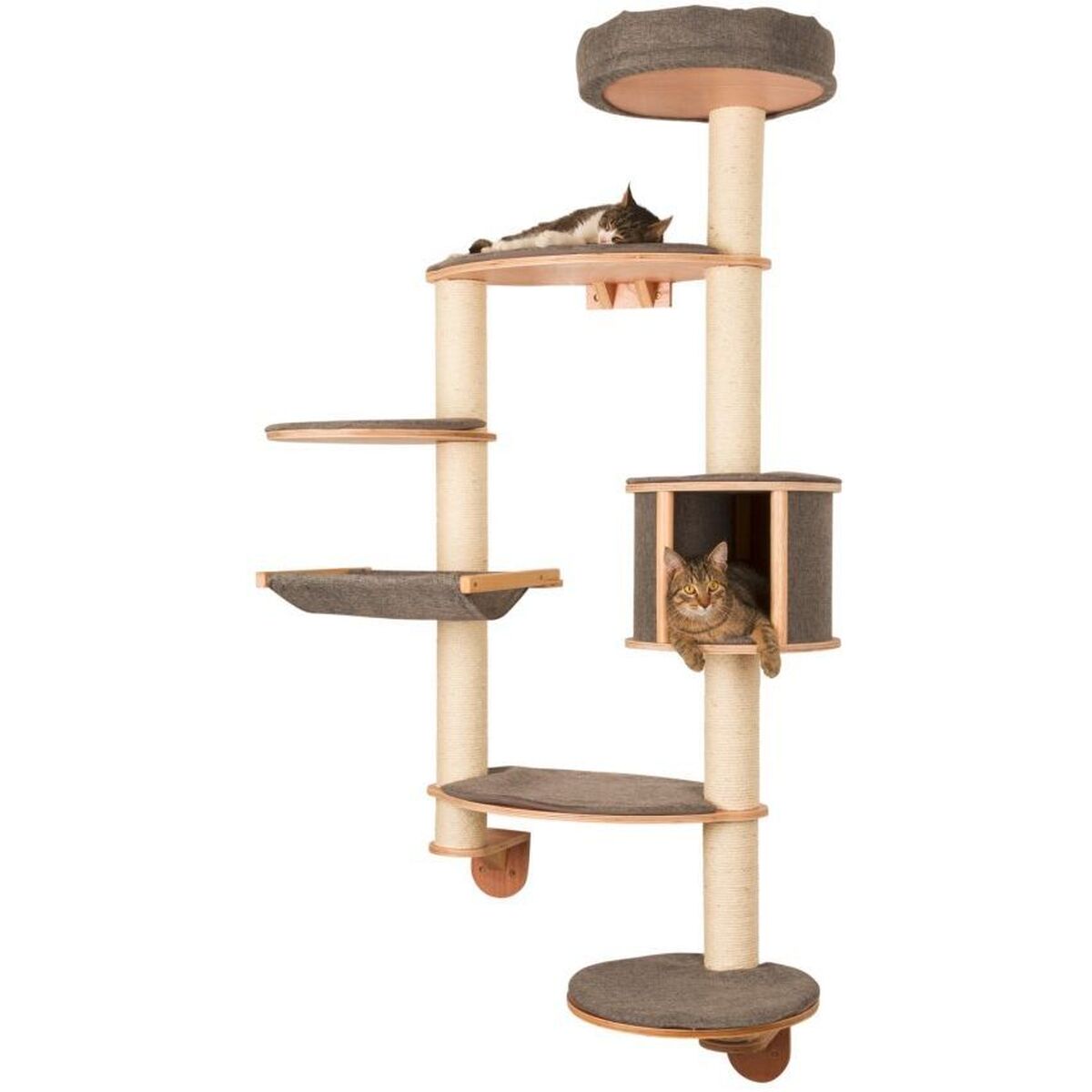 V2H16E068D847FF8A8D1B1FA313DD37447FR7479947P10