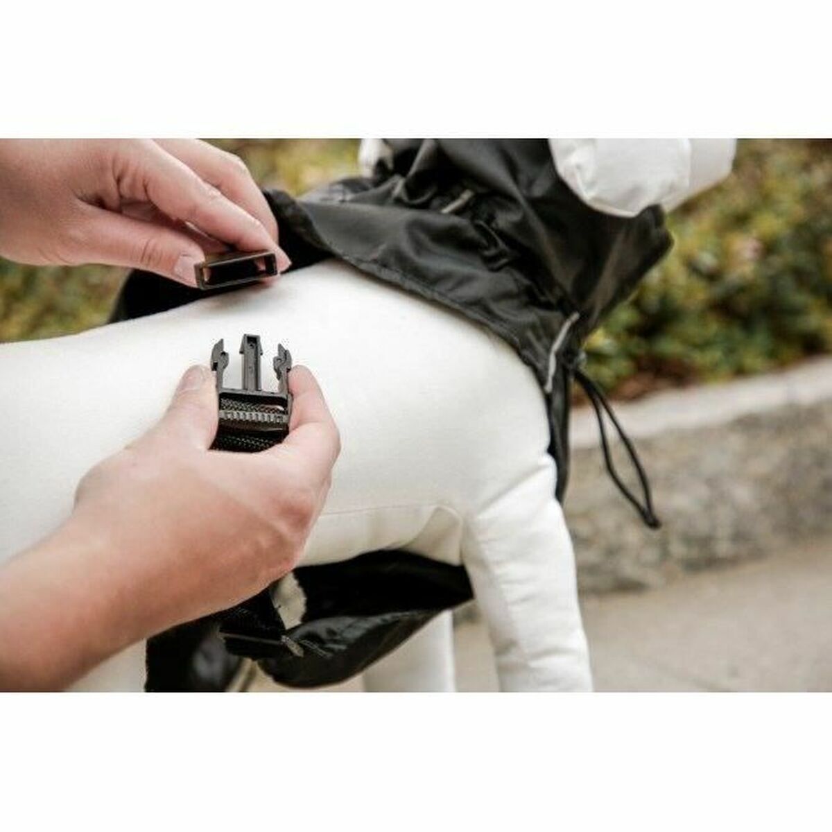 V4HC9169A28BFAD22244A607FDEF328D9C0R5807598P6