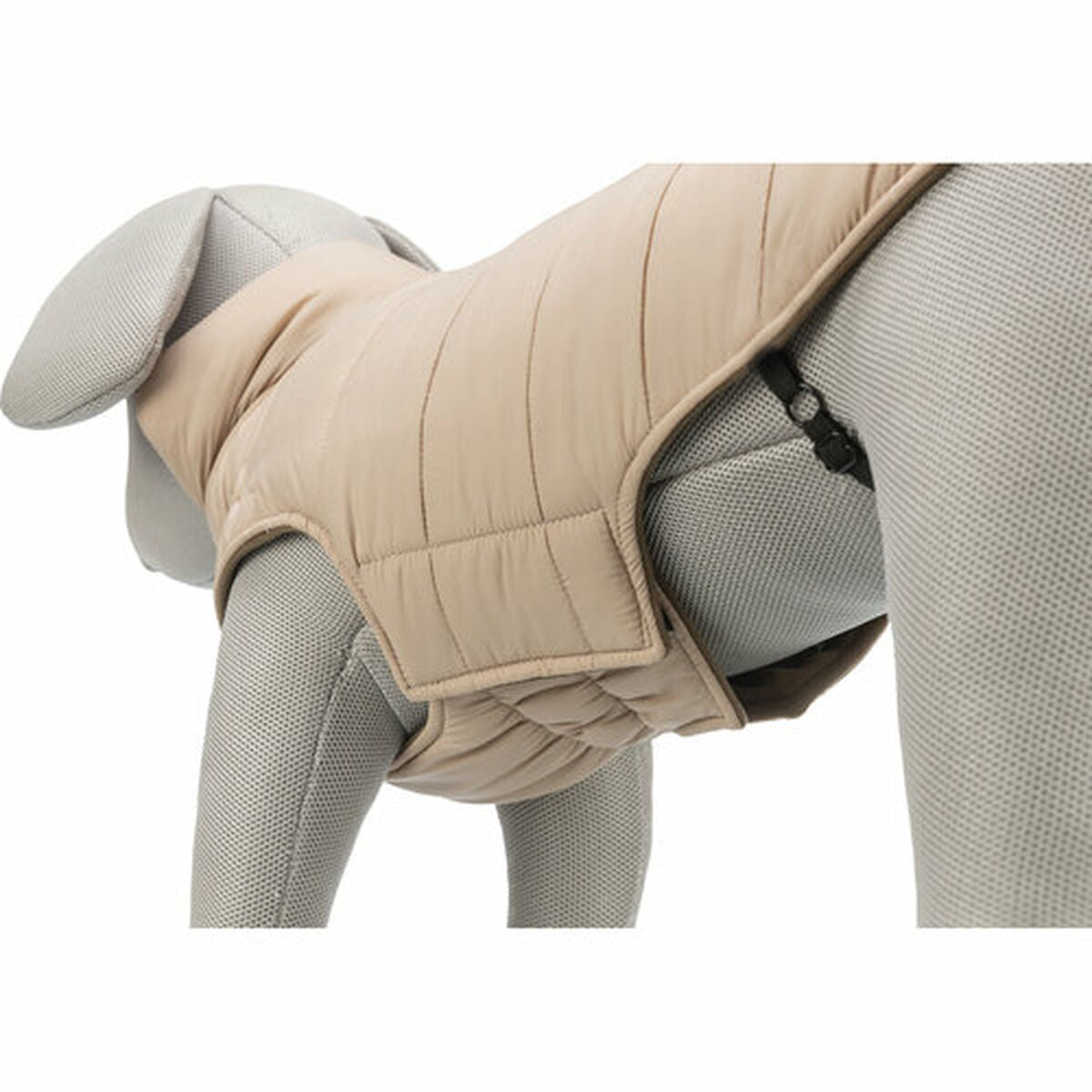 V6H5AE0409C082E76989464872D83C53670R7461076P8