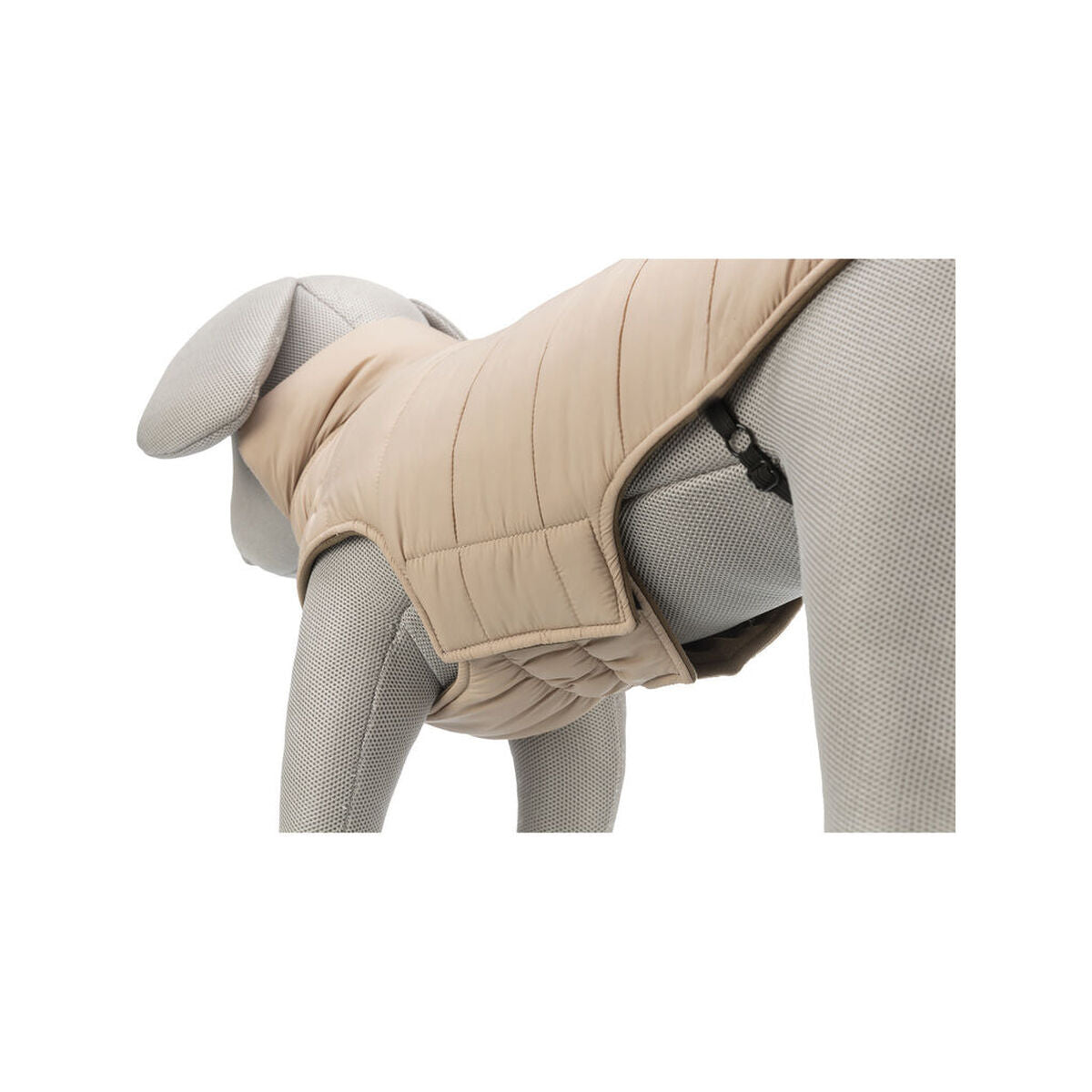 V6HB96AE045805429B5BB73275DBDAB16DER7461631P7