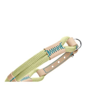 V4HA6D9B254B8C24D20BEBFF1B021FAC7FAR5575511P5