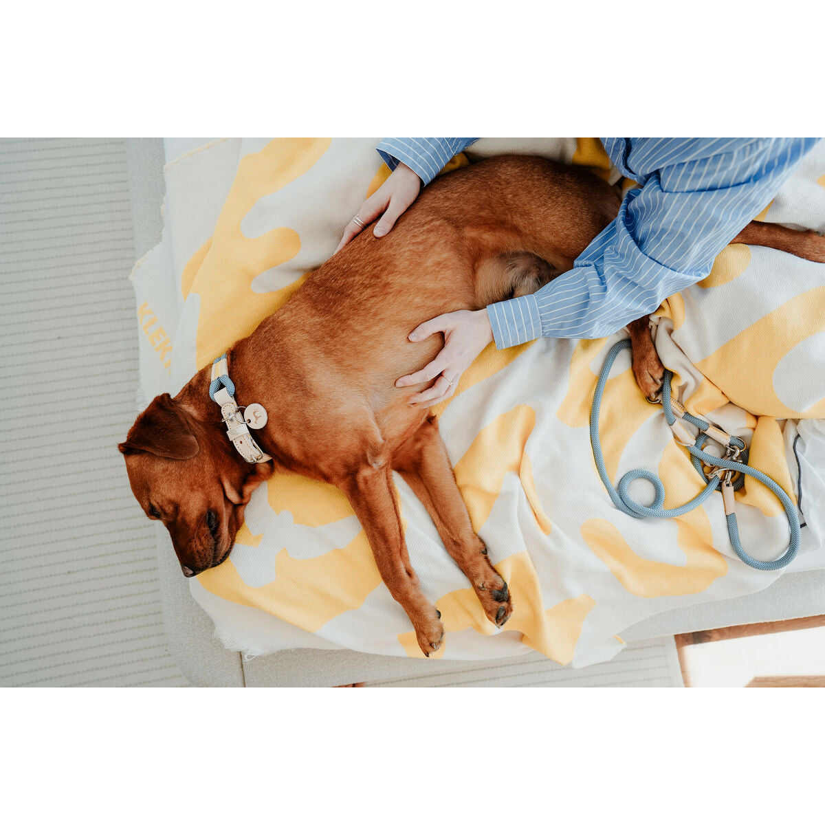 V4H94B02227748DA50F0BE1ED661F79F0C8R5575486P3