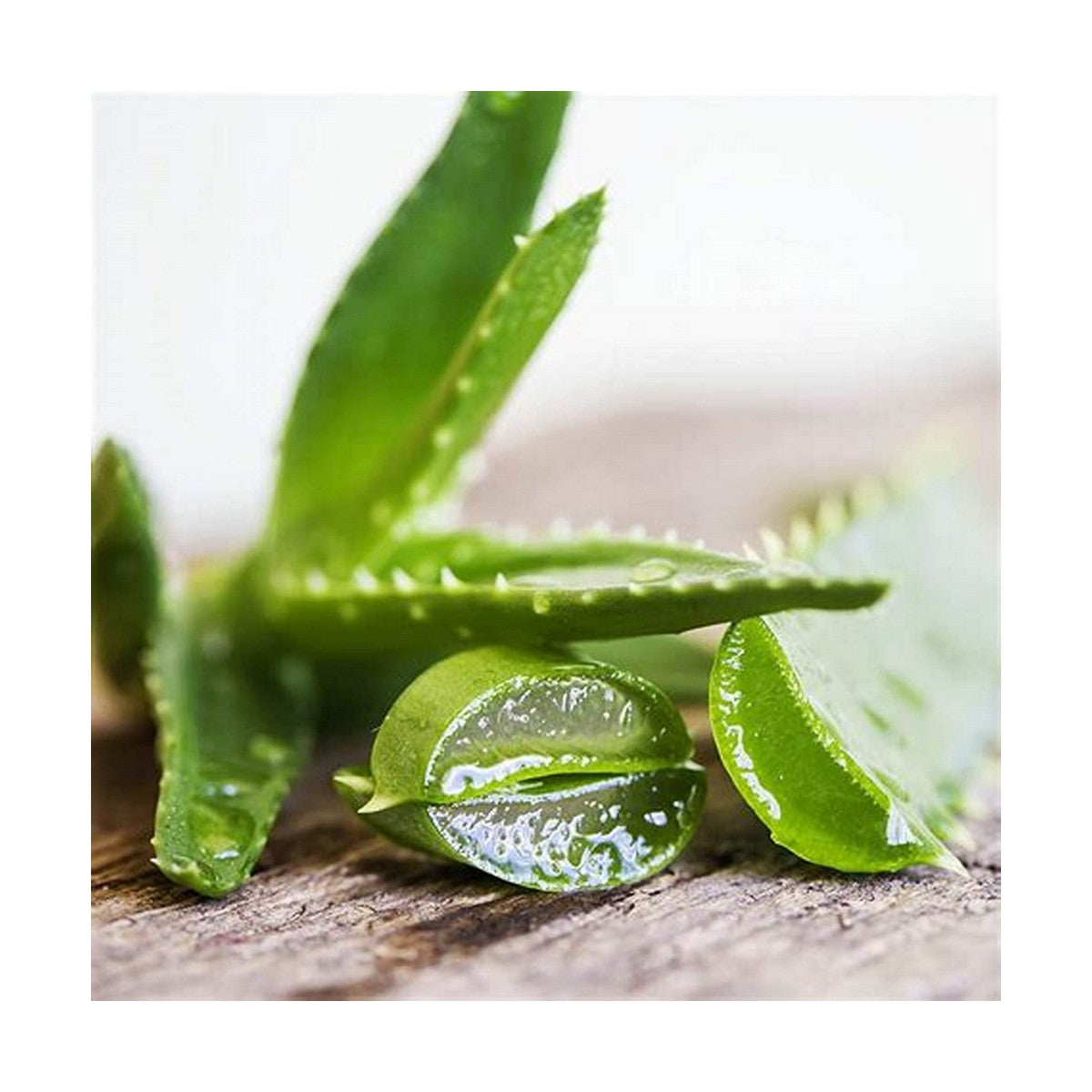 V11H7CAA8EA389595A76F0D6C57CA85AD10DR4219816P2