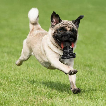 V4H8857184DFB6D31D9615D81552B72D868R4655309P4