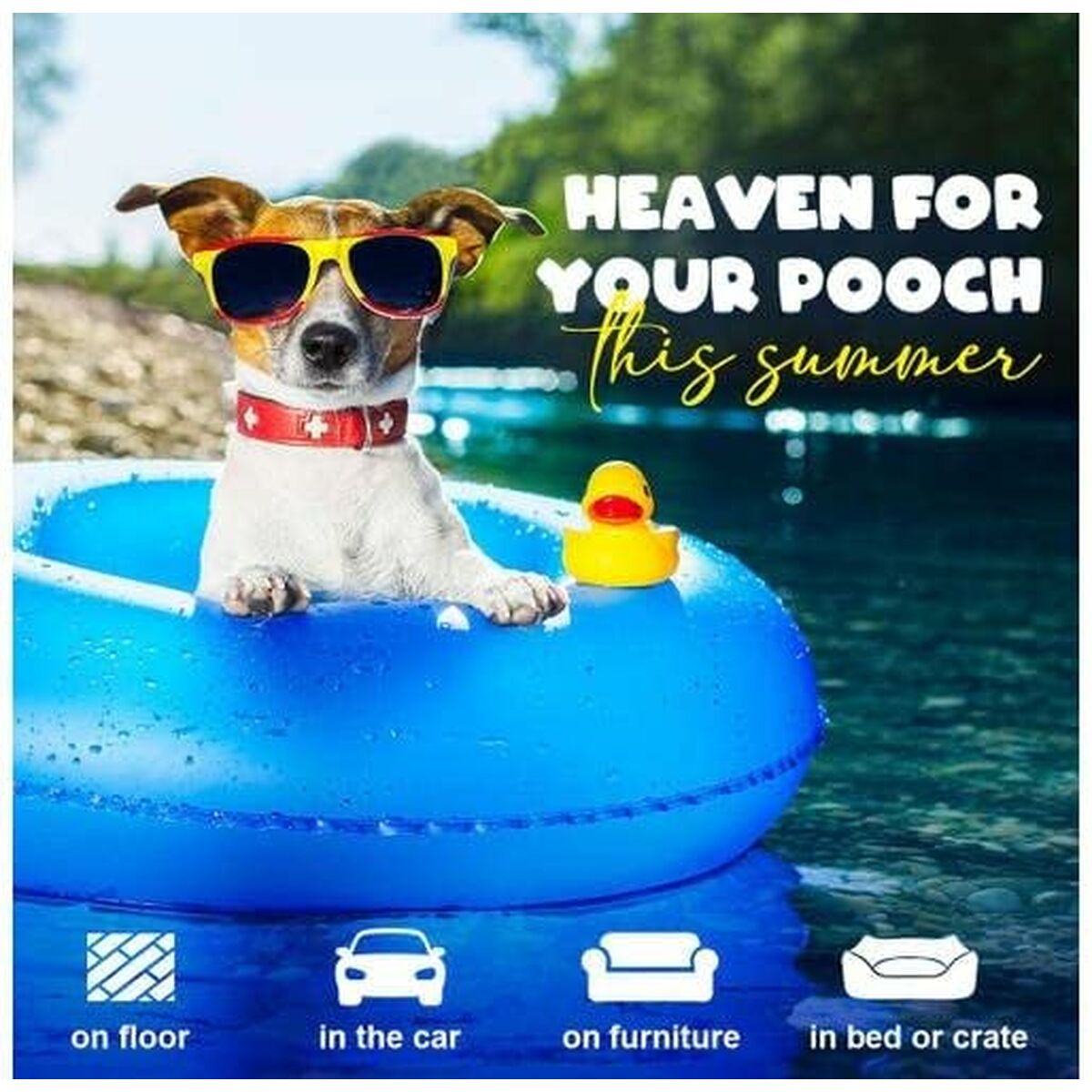 V3HF8CCE517DB1AEA30D2D2203BC2E054B8R7185966P8