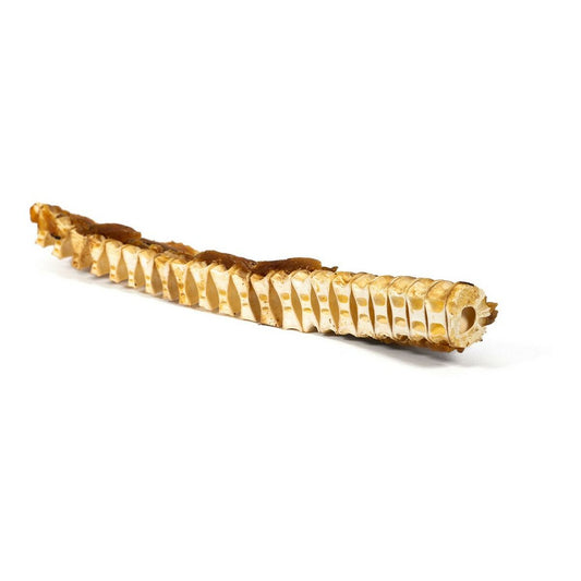 V10HF7F200713BC1BA54EF3ADD375E1B3C73R3891374P1