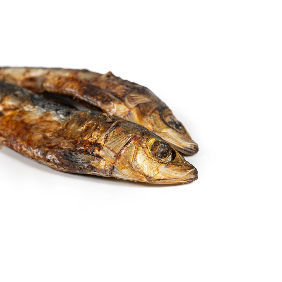 V4H372B865405ADA2DF4EA20D14CAAF4F4BR5292981P2