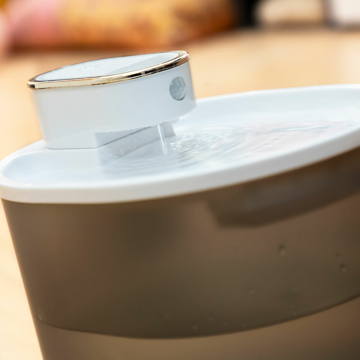 V9HA31493DF9E3267C1986494659F1DAE1BR5279735P2