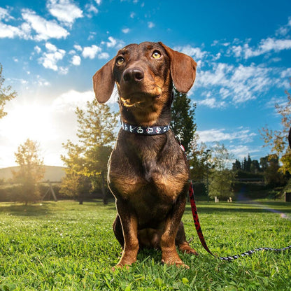 V5H913D990B436C62DCC510B39B5C260862R4655486P5