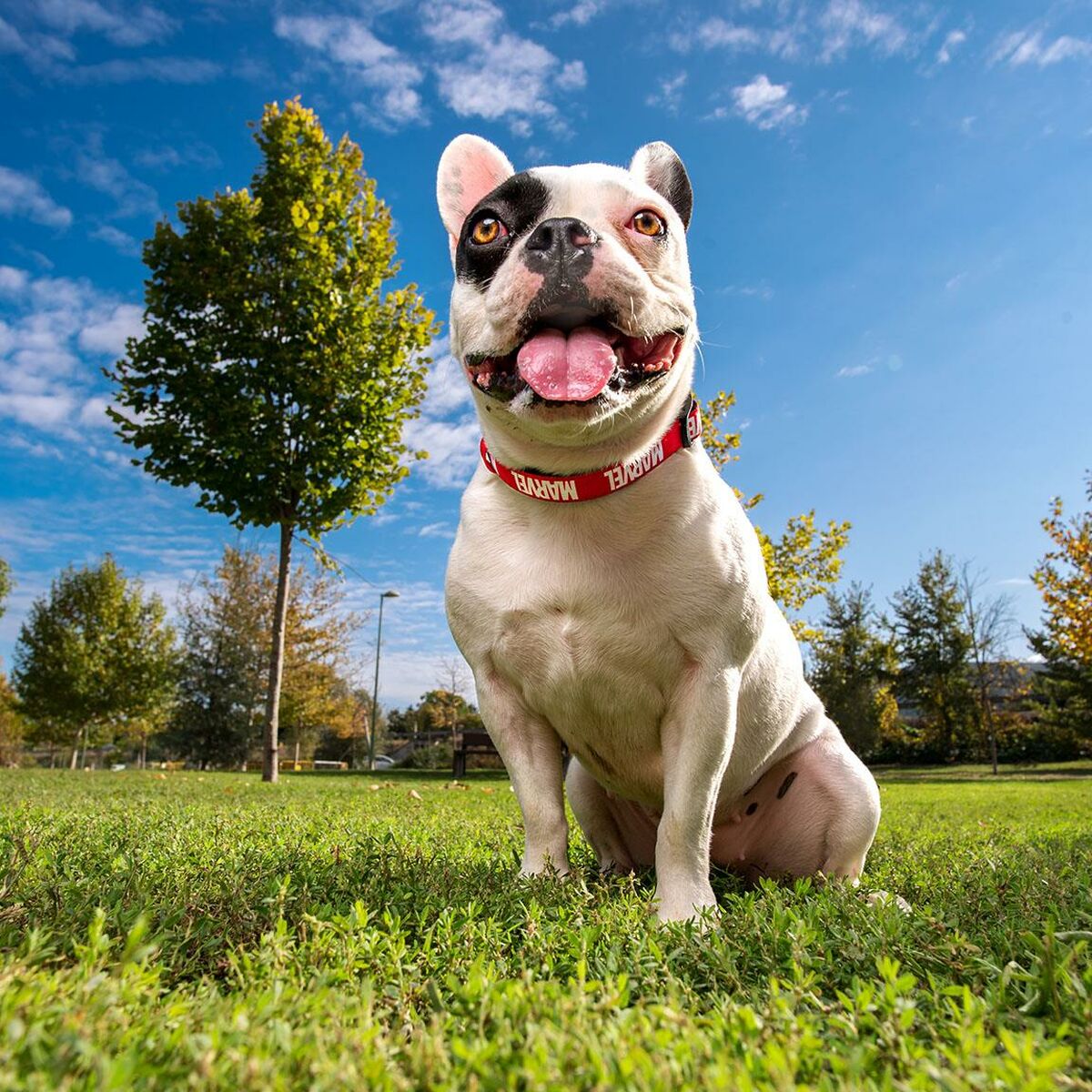 V4H0BE3544198ABE905C5E7D827640EC497R4703589P9